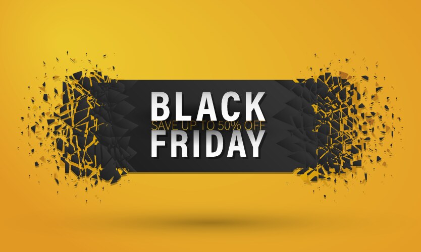 black friday sale vector image