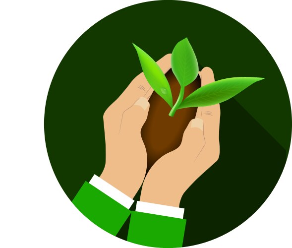 Small green sprout Royalty Free Vector Image - VectorStock