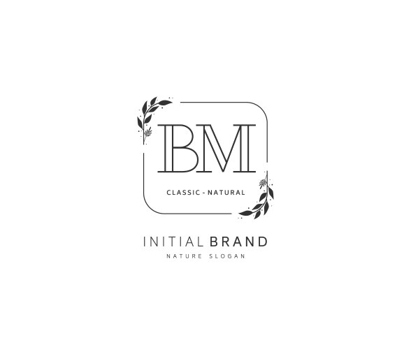 b m bm beauty initial logo handwriting vector image