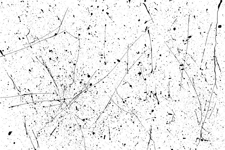 black paint splatter vector image