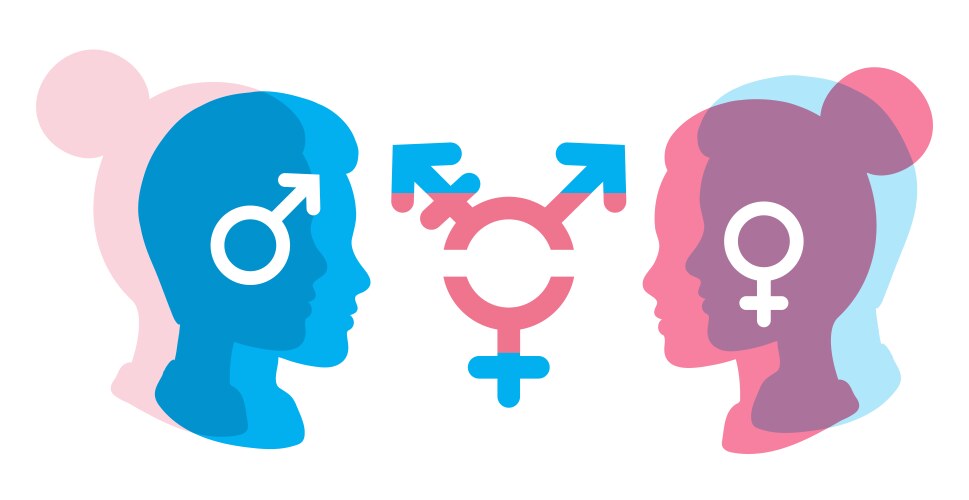 Transgender person gender sex identity man woman vector image