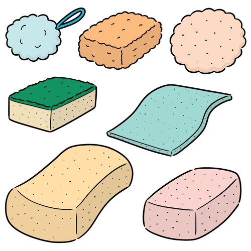 Set sponge Vector Image