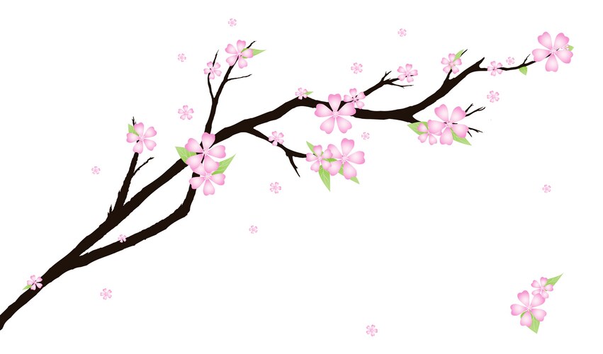 Background with stylized cherry blossom Vector Image