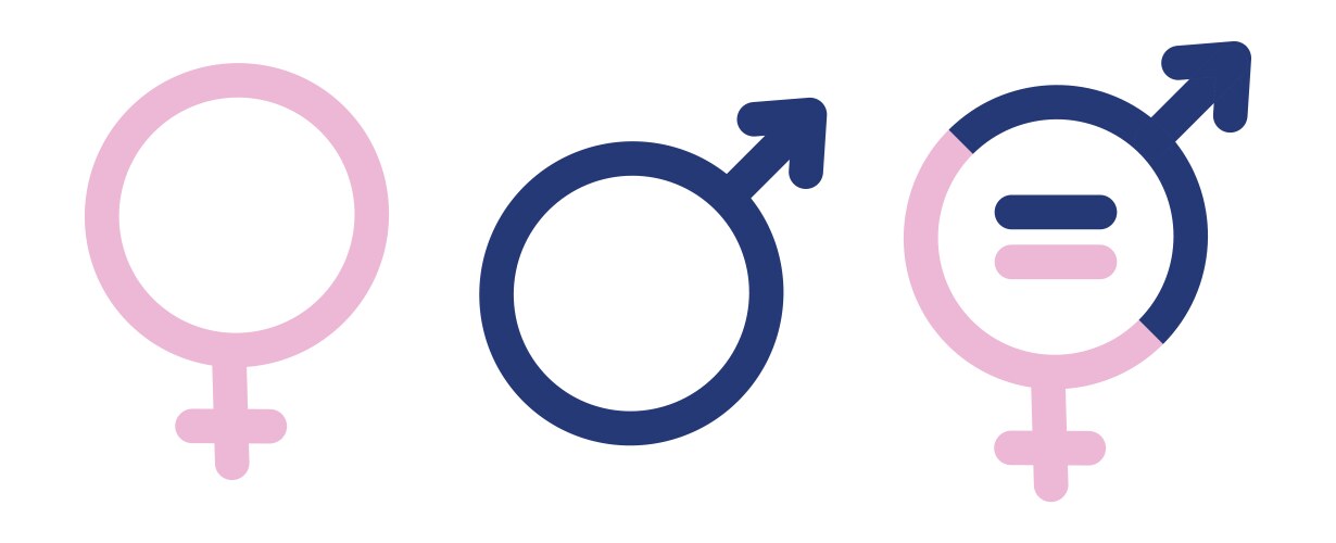 gender symbols male female sex sign vector image