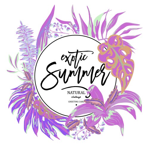 Summer tropical leaves exotic greeting Vector Image