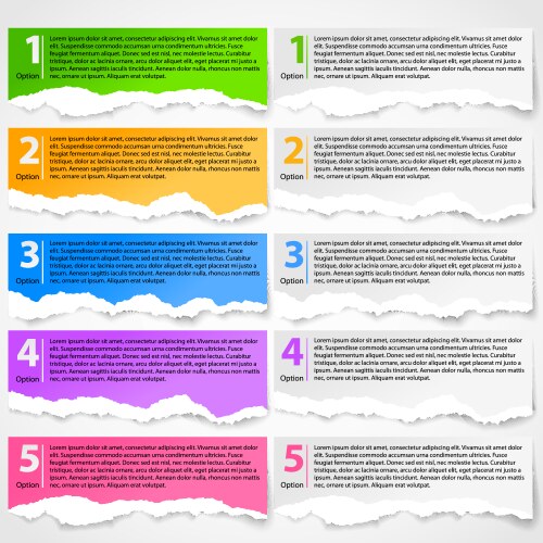 Torn paper progress option background Royalty Free Vector