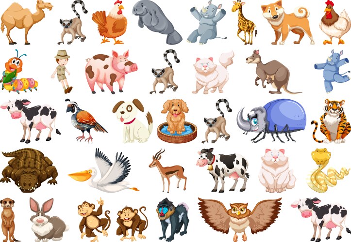 Cute wild animals set including lion tiger rino Vector Image