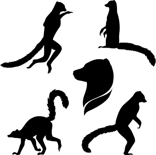 Lemur Silhouettes - Animal Icons Vector Image
