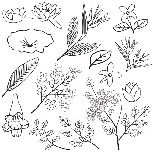 Floral Silhouette - Lotus & Jacaranda Vector Image