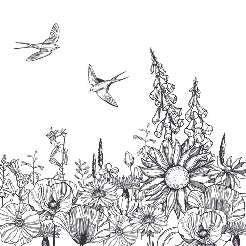 Meadow Flowers and Swallows Sketch Vector Image