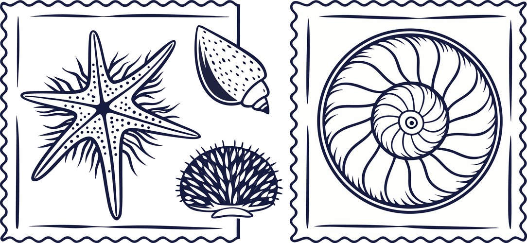 Nautical Seashell Border Vector Image