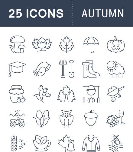 Autumn collection of fall things wind and rain Vector Image