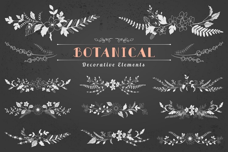 Botanical Floral Elements - Fern & Leaf Vector Image