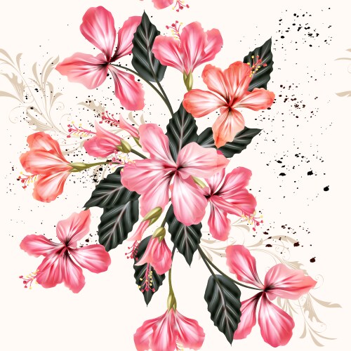 Pink Hibiscus Floral Background Vector Image