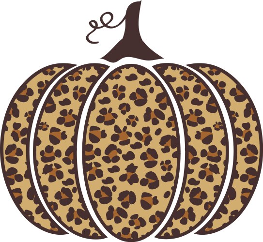 leopard pumpkin vector