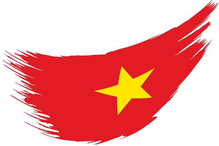 vietnam flag vector image