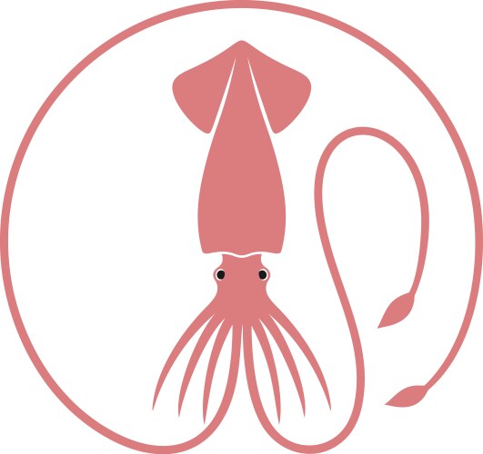 squid vector image