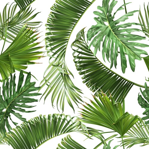 Tropical Leaf Pattern Vector Image