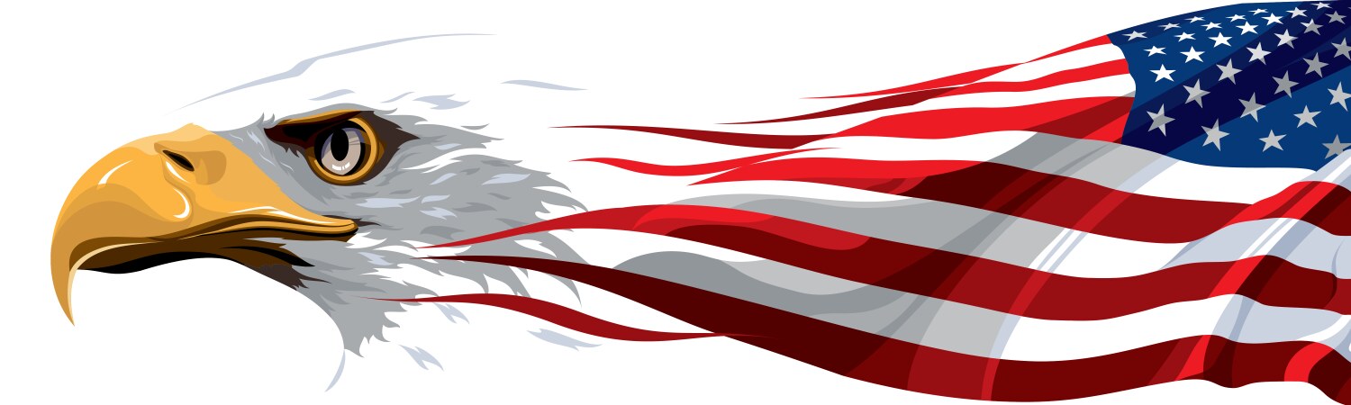 American Flag Symbol Vector Image