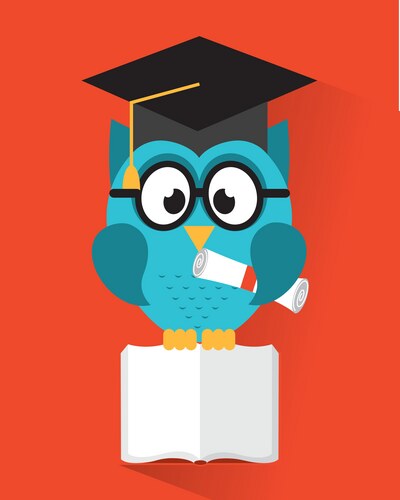 Owl design over orange background Vector Image