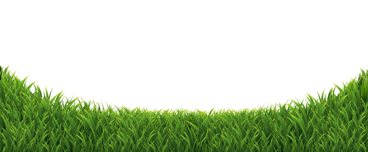Green grass border set on white background Vector Image