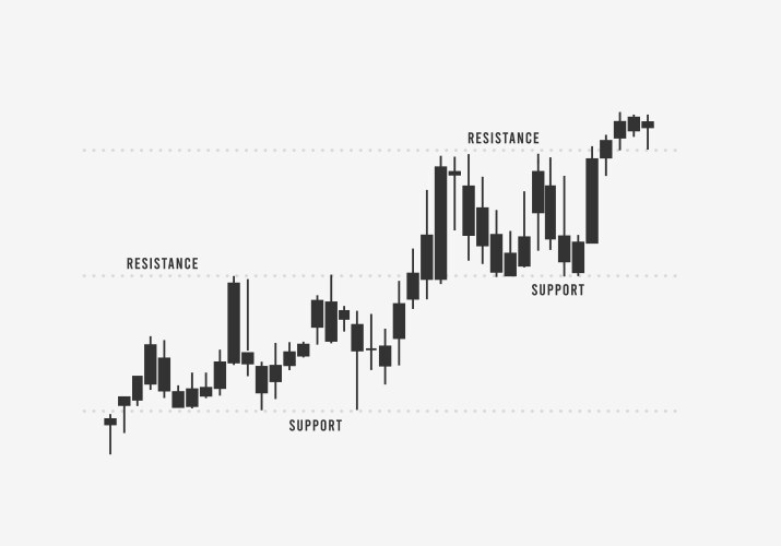 Support and resistance levels in stock forex vector image