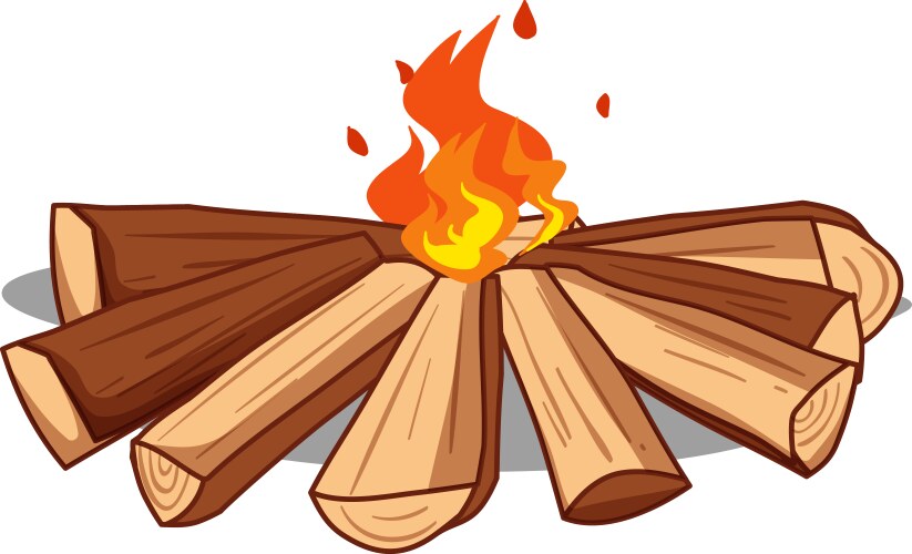 Simple bonfire on white background Vector Image