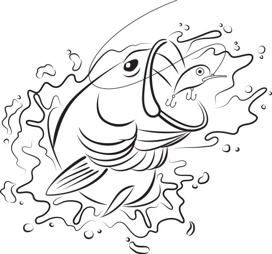 Fishing Lure Artwork Vector Image