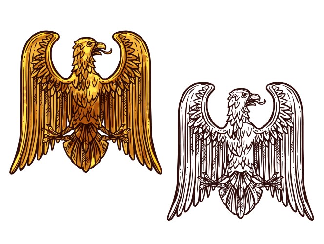 Heraldic Eagle Sketch - Gold & Power Vector Image