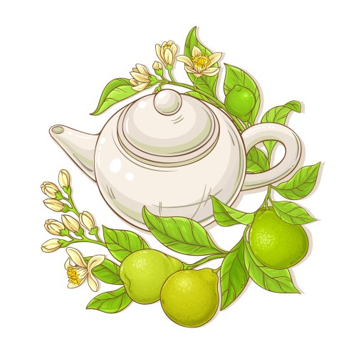 Bergamot frame Royalty Free Vector Image - VectorStock