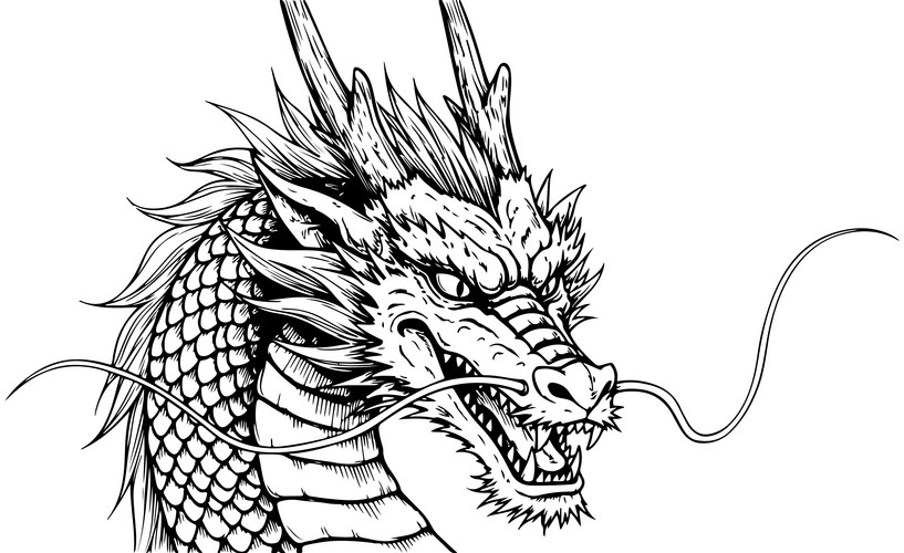Black and White Dragon Head Vector Image