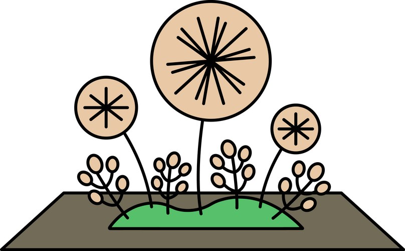 Floral Sketch in Black and White Vector Image