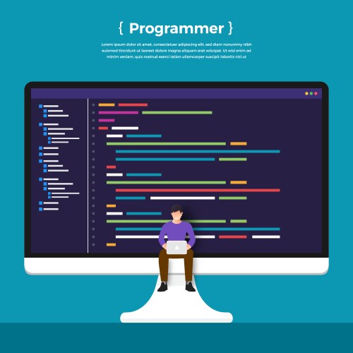 flat design concept programmer coding program vector image