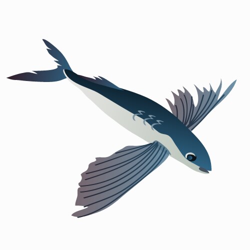 Flying Fish Vector Images (over 11,000)