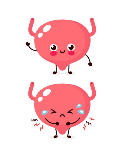 sad unhealthy sick and happy bladder vector image