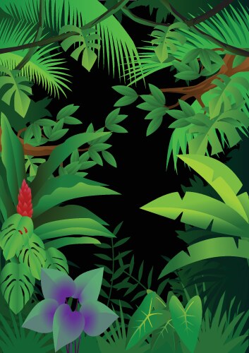 Tropical forest Royalty Free Vector Image - VectorStock