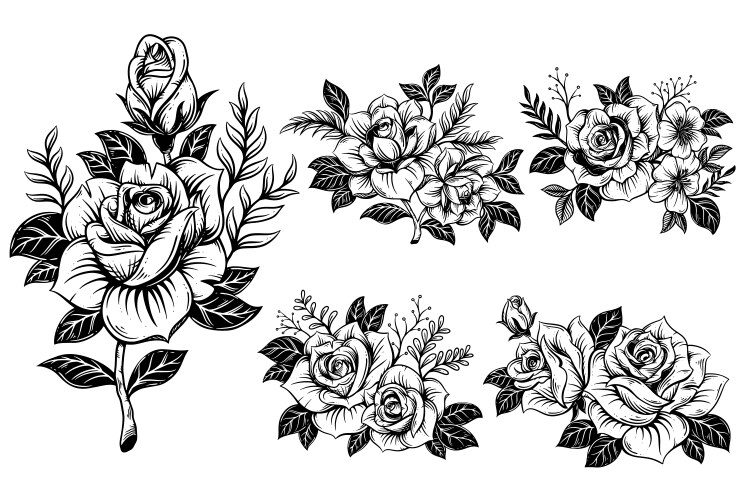 Rose Line Art Collection Vector Image