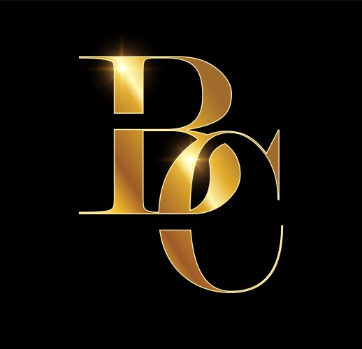 Combination letter ja j a gold golden alphabet Vector Image