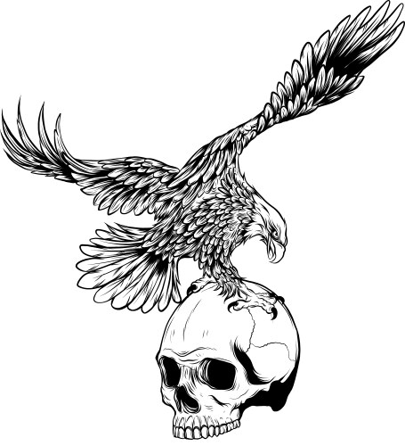 Eagle Skull Emblem Vector Image
