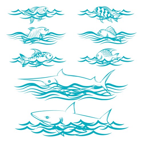 Seashell & Starfish Border – Royalty-Free Vector | VectorStock