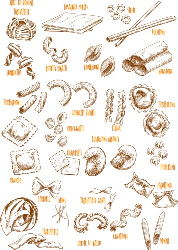 Sketch icons set of italian pasta variety vector image