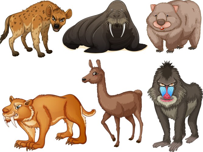 Rare animal Royalty Free Vector Image - VectorStock
