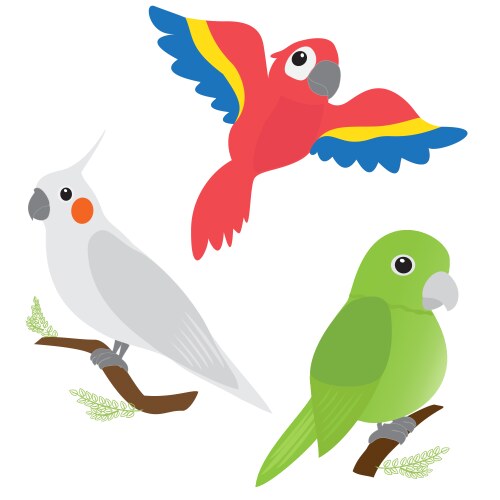 Set of cartoon parrots vector image