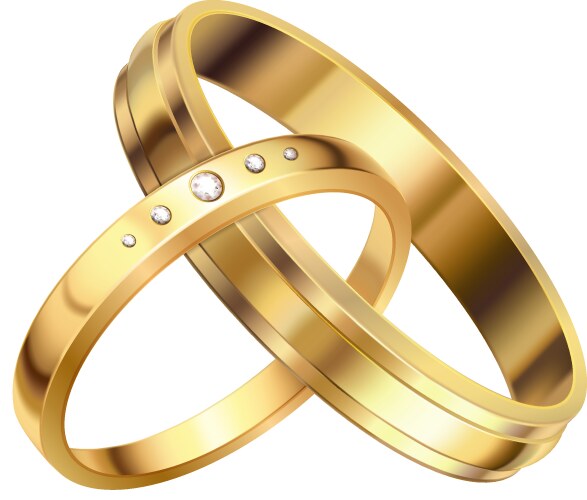 Wedding rings crossed composition vector image