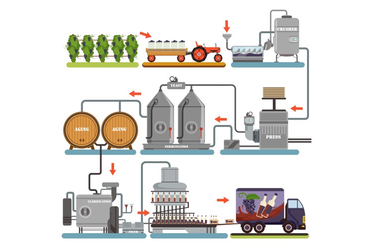 Wine production process cartoon flowchart Vector Image