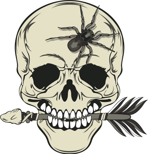 Skull with Arrow and Spider Vector Image