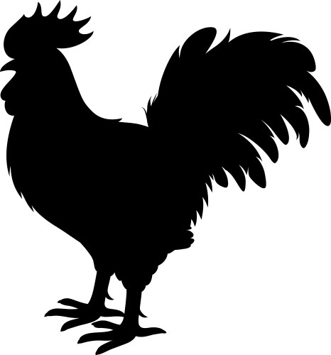 Realistic Rooster Silhouette Vector Image