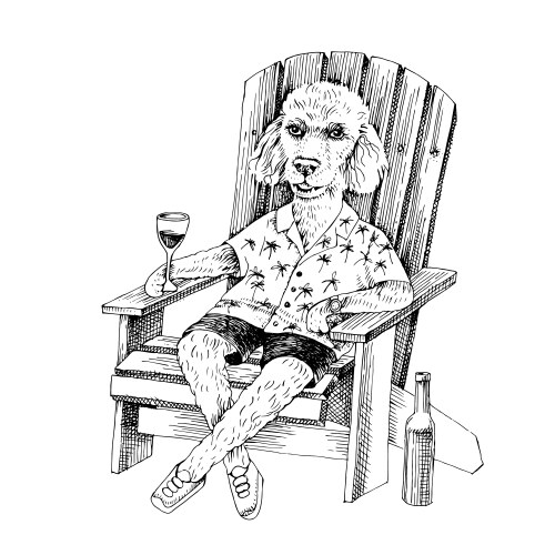 Poodle sketch on adirondack chair Vector Image