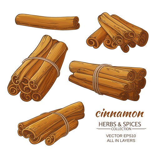 Realistic cinnamon sticks set Royalty Free Vector Image