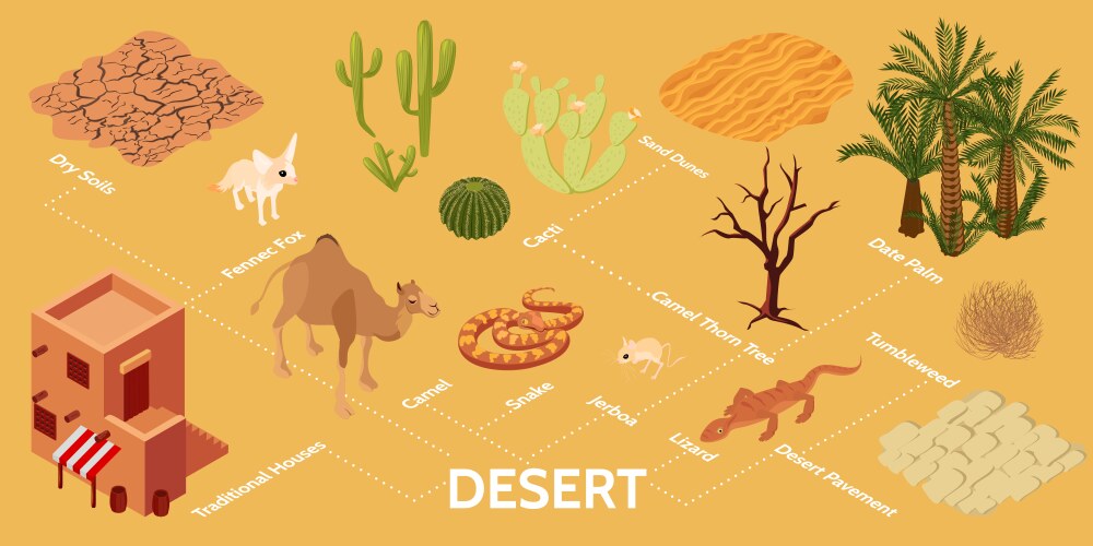 Desert isometric flowchart Royalty Free Vector Image